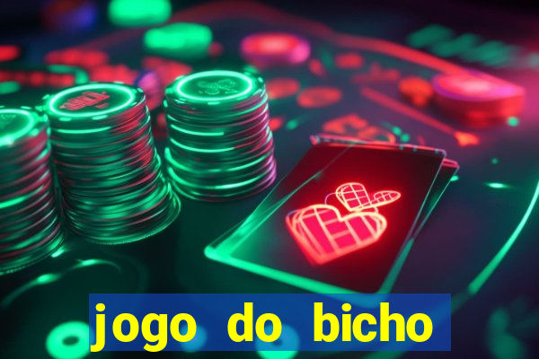 jogo do bicho crash bingo